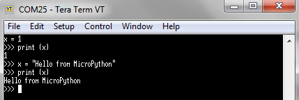 ESP8266 MicroPython variable assignment