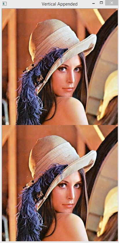 Vertically appended images.